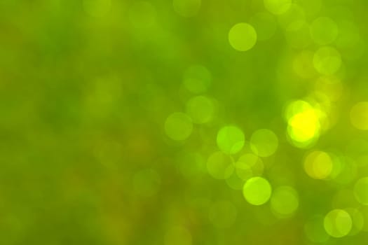 Abstract circular natural green bokeh background