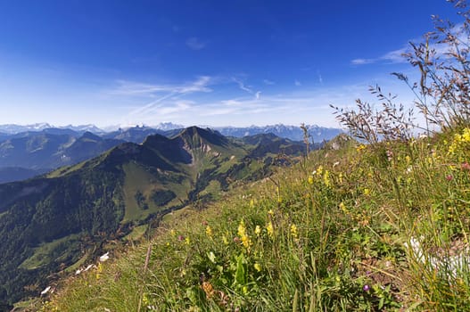 Mountain Summer 1