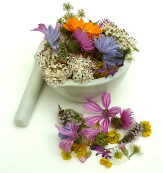 Health from nature