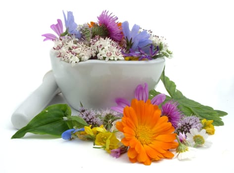 Health from nature