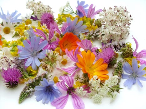 Health from nature