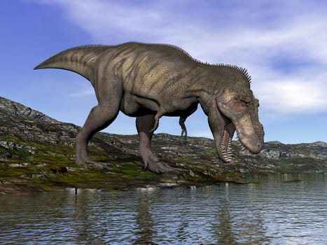 One tyrannosaurus rex dinosaur walking to water by beautiful day
