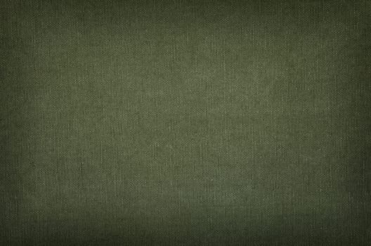 Olive green cotton fabric with vignette
