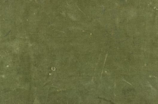 Olive green cotton fabric with scratches and holes