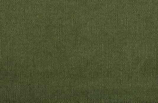 Olive green cotton fabric