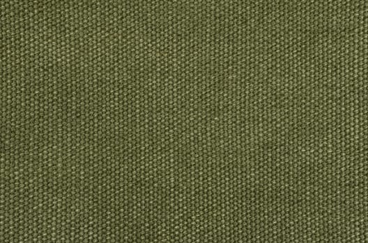 Olive green cotton fabric