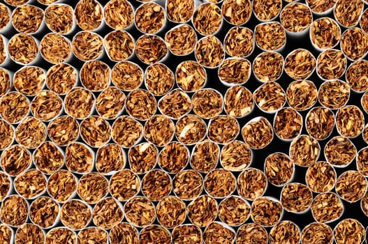 Close-up of Tobacco Cigarettes Background or texture