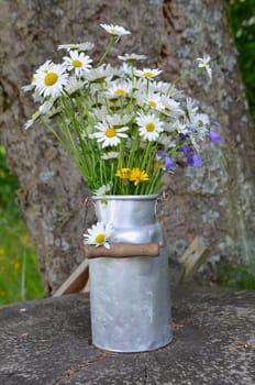 Bouquet flower meadow colorful flowers background