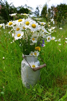 Bouquet flower meadow colorful flowers background