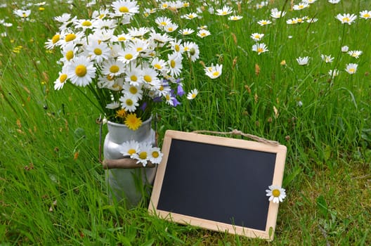 Flower bouquet flower meadow colorful flowers background margerites