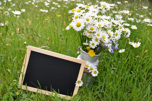 Flower bouquet flower meadow colorful flowers background margerites