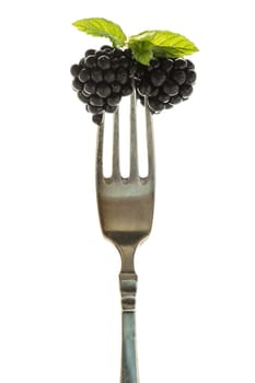 Blackberries with mint on a fork in the backlight