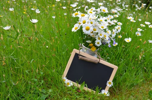 Flower bouquet flower meadow colorful flowers background margerites