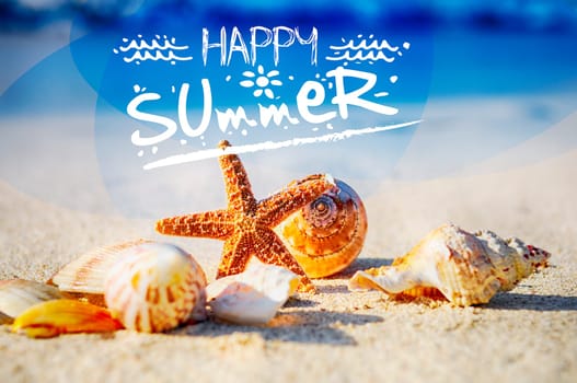 sea shells with sand as background