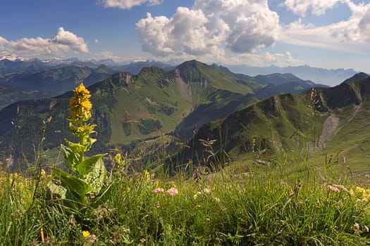 Mountain summer in the Fribourg Prealps