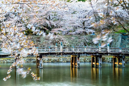 Kyoto, Japan - April 12, 2013