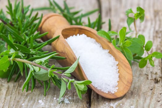 Healthy sea salt and fresh herbs