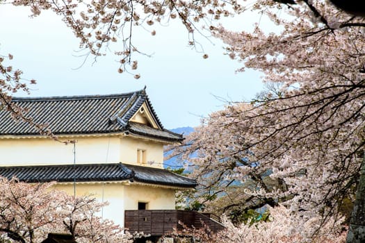Kyoto, Japan - April 12, 2013