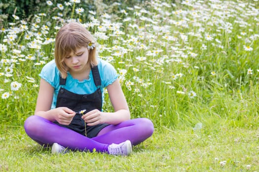 little girl on the meadow in summer day