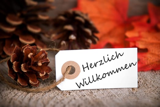 The German Words Herzlich Willkommen, which means Welcome, on a Label as Fall Background