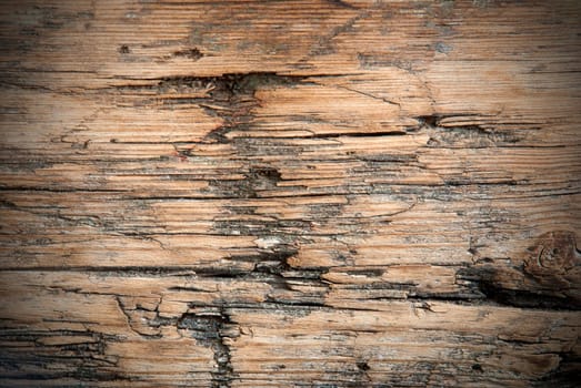 Grungy Wood Texture or Background, Old Plank
