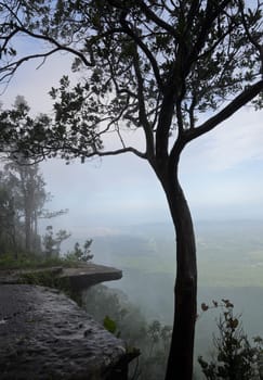 Cliff's edge in foggy morning, Thailand