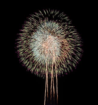 Colorful fireworks in the night sky