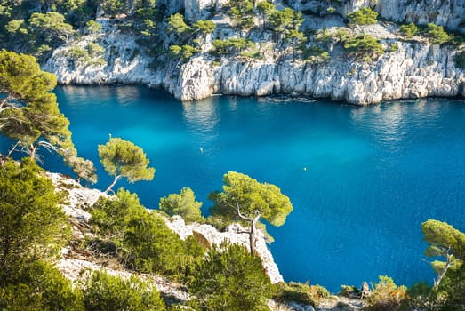 Calanques of Port Pin in Cassis in France near Marseille