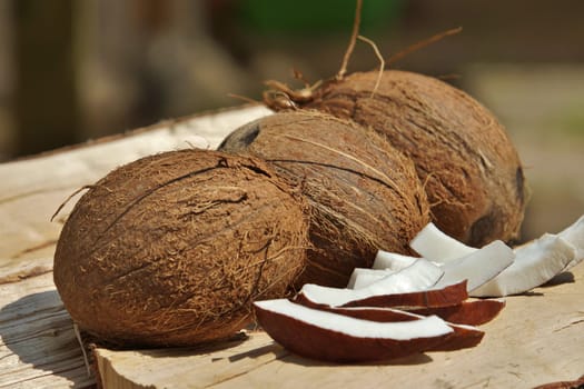 Coconut nuesse