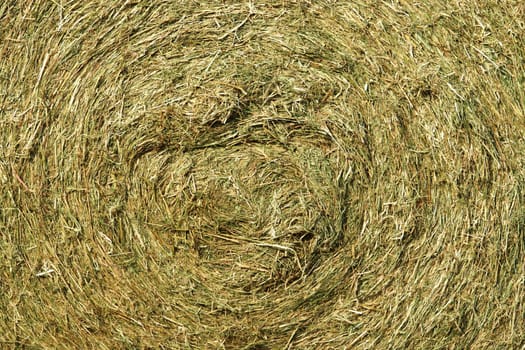 Very large straw bale