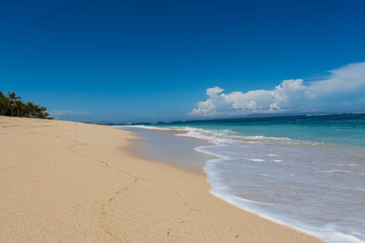 Beautiful secluded sandy beach in the Caribbean with white sand and blue sky as in paradise