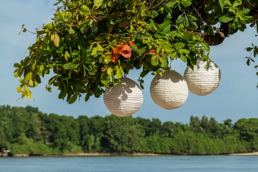 Paper lampions on a tree over the sea in Bali in the Caribbean with blue sky
