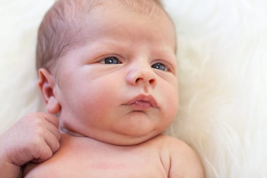 Little baby toddler newborn naked on a white fur as Detal