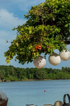 Paper lampions on a tree over the sea in Bali in the Caribbean with blue sky