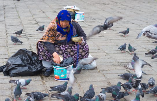 old turkish woman in istanbul is selling pigeon food for a living