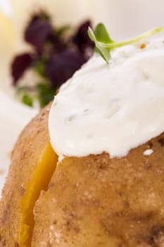 fresh foilpotato from the oven with herb quark sour cream and fresh herbs