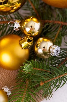 Golden shiny Christmas tree decoration Advebtsschmuck on green fir branches as close-up