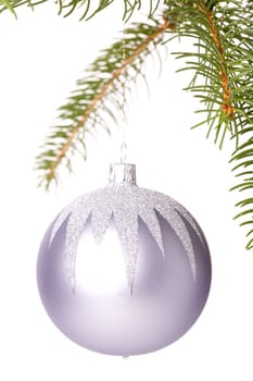 Traditional Christmas ball hung on a green fir branch isolated against a white background