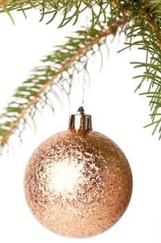 Traditional Christmas ball hung on a green fir branch isolated against a white background