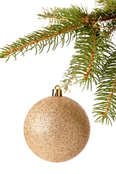 Traditional Christmas ball hung on a green fir branch isolated against a white background