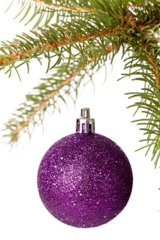 Traditional Christmas ball hung on a green fir branch isolated against a white background