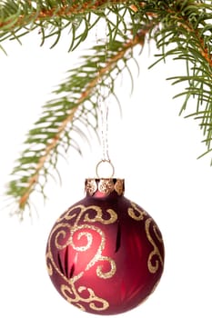 Traditional Christmas ball hung on a green fir branch isolated against a white background