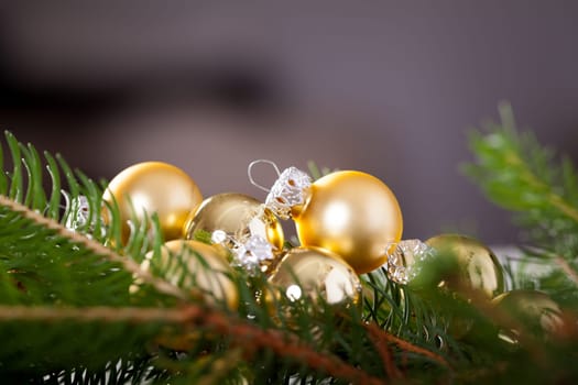 Golden shiny Christmas tree decoration Advebtsschmuck on green fir branches as close-up
