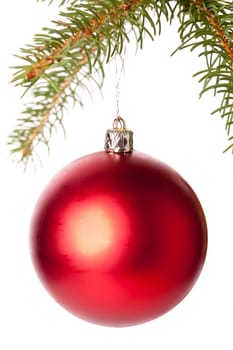 Traditional Christmas ball hung on a green fir branch isolated against a white background
