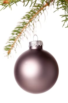 Traditional Christmas ball hung on a green fir branch isolated against a white background