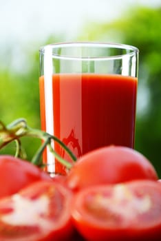 Tomatoes and juice in the garden. Organic food.