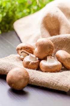 Fresh braund champignons in sunlight on a wooden table in daylight