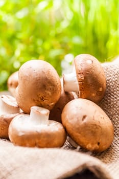 Fresh braund champignons in sunlight on a wooden table in daylight
