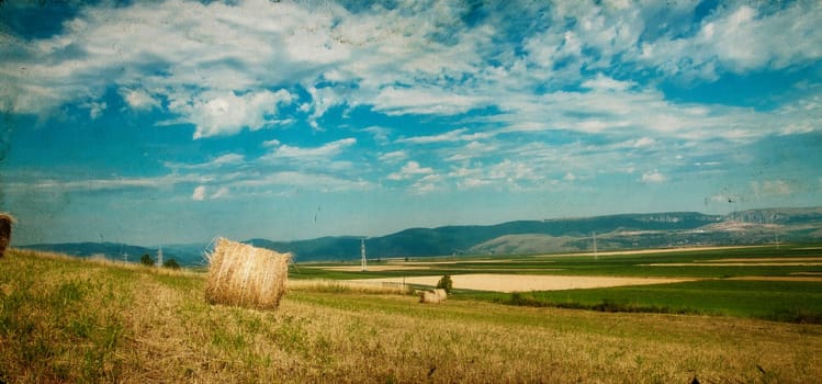Vintage photo of hay-roll on field after harvest