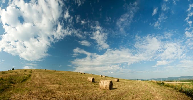 Vintage photo of hay-roll on field after harvest